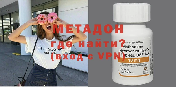 прущие грибы Медвежьегорск