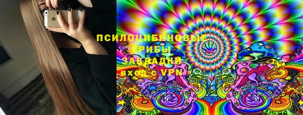 прущие грибы Медвежьегорск
