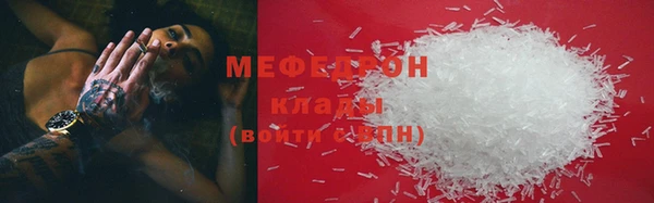 прущие грибы Медвежьегорск