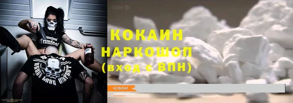 прущие грибы Медвежьегорск