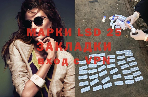 прущие грибы Медвежьегорск