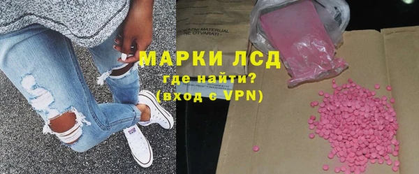 прущие грибы Медвежьегорск