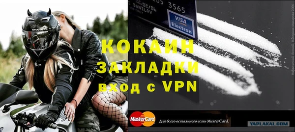 прущие грибы Медвежьегорск