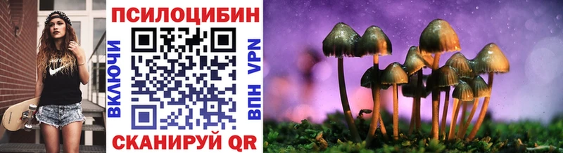 купить наркоту Сосенский Псилоцибиновые грибы Psilocybine cubensis