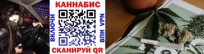 Каннабис OG Kush Сосенский